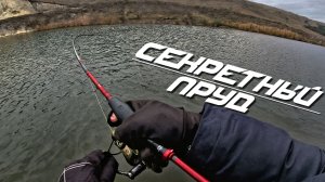 🔴 Не было шансов, но я поехал! И не зря! Как я уговорил щуку! 🎣💥🔥