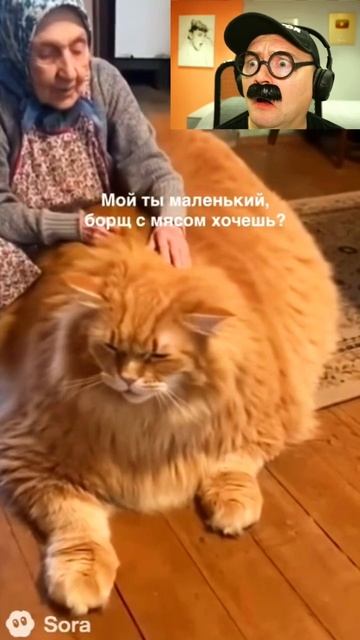 Откормила котика смотреть онлайн