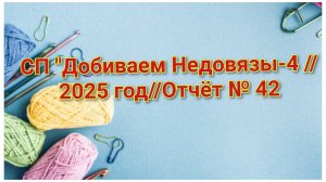 СП "Добиваем Недовязы-4 //2025 год//Отчёт № 42 // Организатор СП  Марина Стогова
