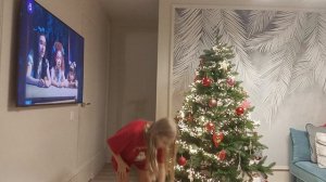 наряжаем ёлку зайчики! 🎄