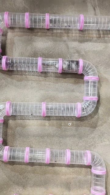 Хомячий рай 😬 @ysds198405