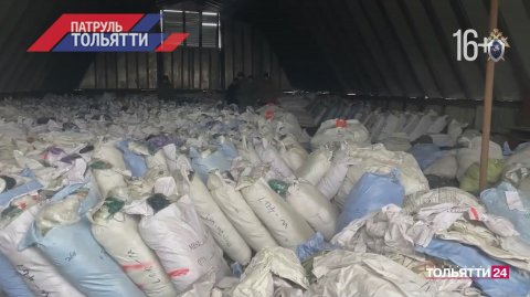 "Патруль Тольятти" 05.12.2025