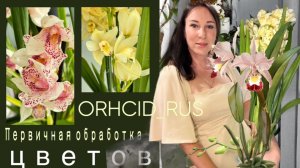 Вновь прибывшие орхидеи от Елены Гринь! Осмотр и обработка