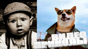 ЛУЧШИЕ ПРИКОЛЫ 2025 | ПРИКОЛЫ 2025 | СВЕЖИЕ ПРИКОЛЫ 2025 | РЖУ НЕ МОГУ |