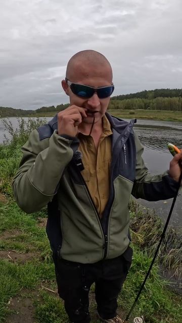 дегустация водорослей на рыбалке. #fishing #рыбалка #туризм #река #природа #волга #спиннинг