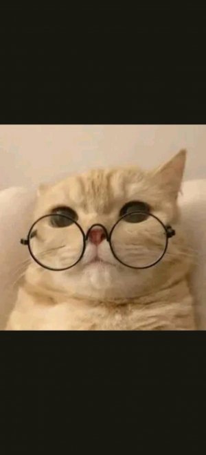 знакомство с подписчикамт