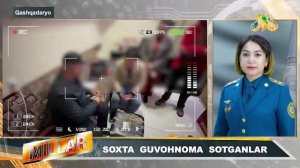 SOXTA  GUVOHNOMA  SOTGANLAR