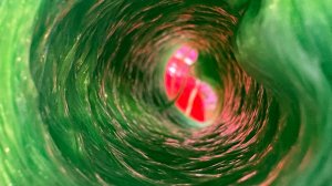 Приглашение в совместный проект «Вкусные мочалки-3 сезон»!