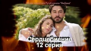Впечатления от 12 серии турецкого сериала "Сердцебиение"