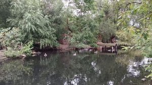 В зоопарке.