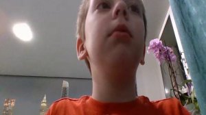 2 два брата дарина сафина