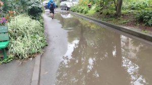 Сергей Милейко - Шут и королева...