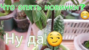 Новинки!Распаковка!