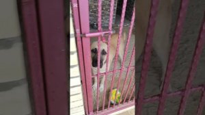 У нас сегодня сильный дождь