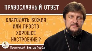 Благодать Божия или просто хорошее настроение ?  Протоиерей Виктор Горбач