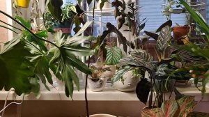 Тестируем подставку с WB