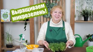 3 способа, как вырастить микрозелень в домашних условиях