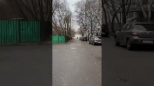 📍МИЧУРИНСКИЙ