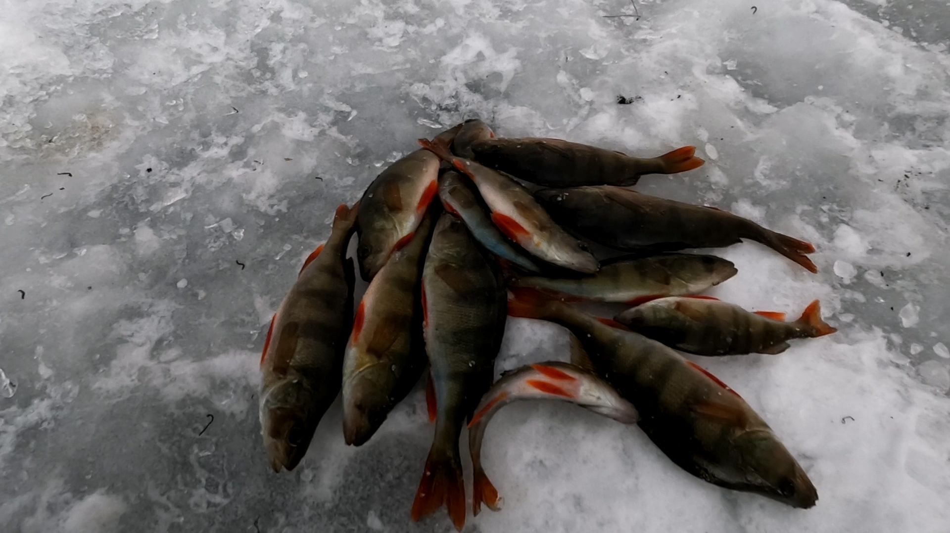 Озеро Нижнее. #2 смотреть онлайн