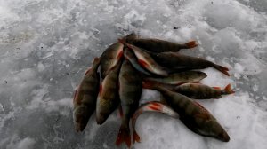 Озеро Нижнее. #2