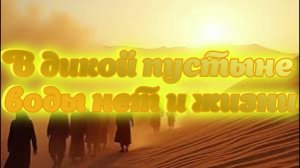 В дикой пустыне воды нет и жизни