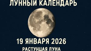 🌑 Лунный календарь на 19 января 2026 года: советы для успешного дня 🌙