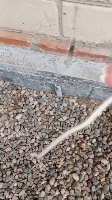 Погрызли дети провода - такая вот беда.