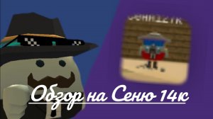 Обзор на Сеню 127k