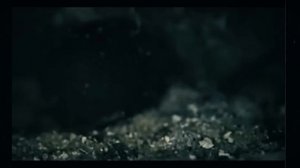 Ничего себе растение