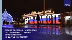 Сессия "Донбасс и Новороссия: от гуманитарного фронта к возрождению" на форуме "Мы вместе"