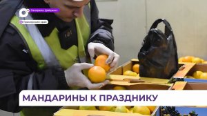 Поставки мандаринов в Приморье из-за рубежа увеличились почти в 2,5 раза