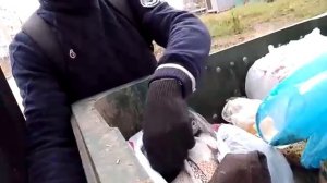 Жру из помойки, элитные пряники!