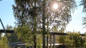 ЭТО ВСЁ МОЁ, РОДНОЕ