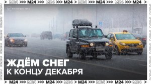 Снежный покров появится в Москве к концу декабря - Москва 24