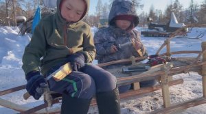 Повседневная жизнь семьи оленеводов pandasakha #север #арктика #путешествия