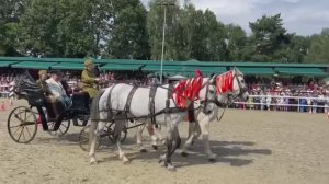 Участники Чемпионата русских троек-2025. Ч. 2. Тройка клуба «Конный двор и КСК «Ковбой»», г.Павловск