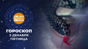 Гороскоп на 5 декабря. Доброе утро. Фрагмент выпуска от 05.12.2025