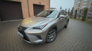 Lexus NX 2.0 CVT, 2019, 64 102 км.