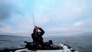 Взрывной клёв крупняка! Аж трясёт! Рыбалка на спиннинг