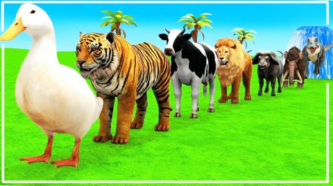 Мультики для детей. Испытания для диких и домашних животных. Мультфильмы для малышей.