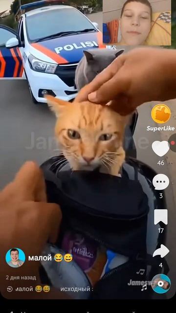 грабежа смотреть онлайн