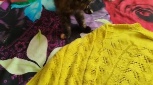 Вязальные новости за ноябрь 2025г.