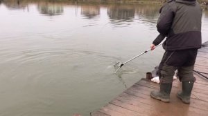 поимка форели на спиннинг