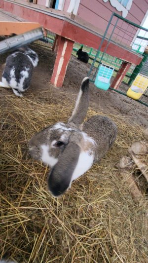 Катя и Дима