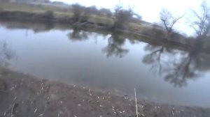 Приехал на новое место на реке и наловил зубастых щук