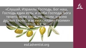 7 декабря 2025. Первая заповедь. Под сенью благодати | Адвентисты