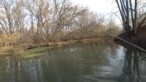 РАССТАВИЛ ЖЕРЛИЦЫ В ЗАРОСШЕЙ МИКРО РЕЧКЕ и офигел от улова. Рыбалка на спиннинг