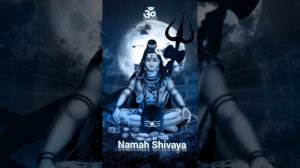 Ом Намах Шивая - та самая!!!