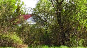 Люблю летом гулять а поле. Слышно пение птиц, а ещё ветер и шум камеры.