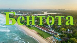 Бентота 2024 _ Шри-Ланка _ Жилье, ресторан и многое другое. #srilanka #путешествия